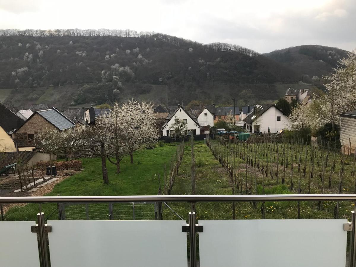 Ferienwohnung " Wein Unter Palmen " ノイマゲン・ダオン エクステリア 写真