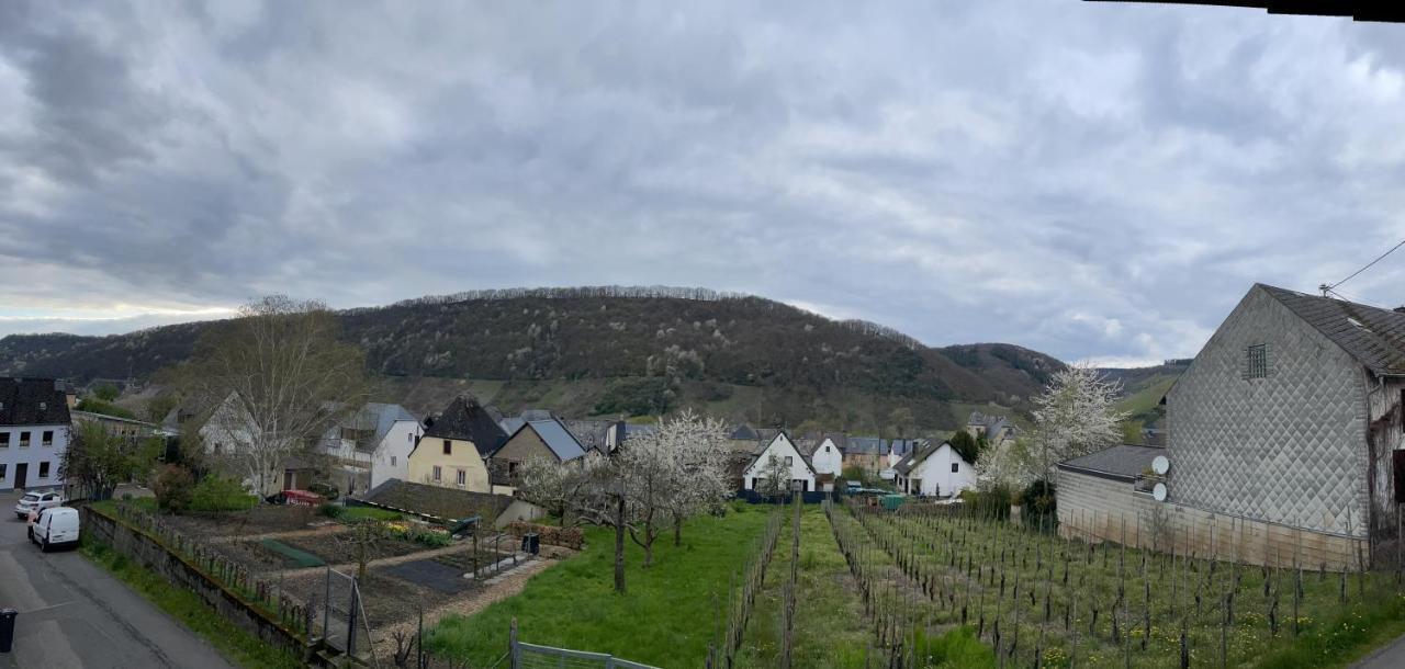 Ferienwohnung " Wein Unter Palmen " ノイマゲン・ダオン エクステリア 写真